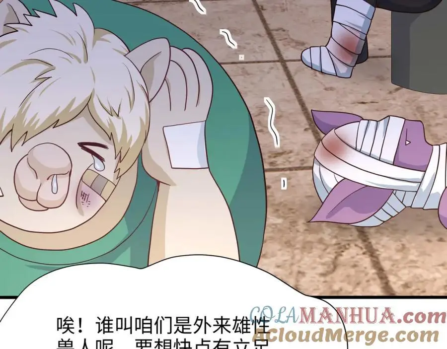 兽族择偶权 第37页