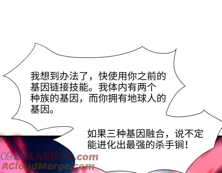 最强战斗鸡 第49页
