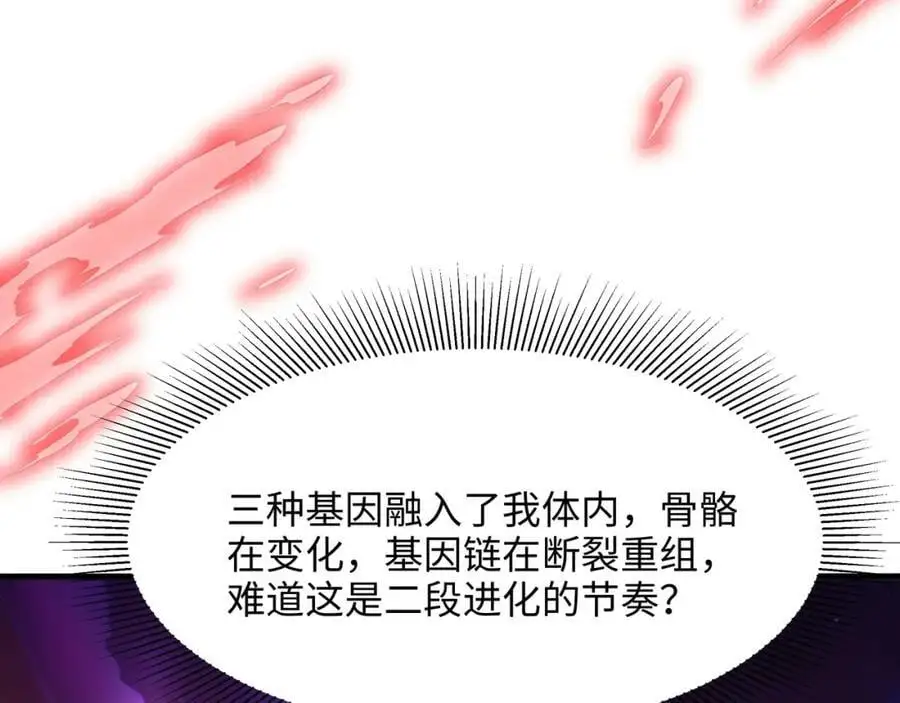 最强战斗鸡 第52页