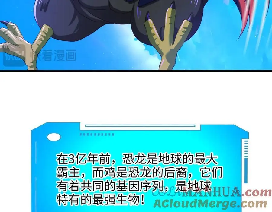 最强战斗鸡 第61页