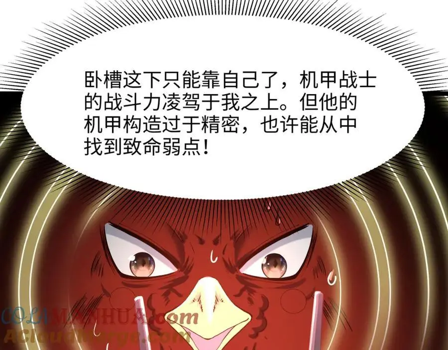 最强战斗鸡 第73页