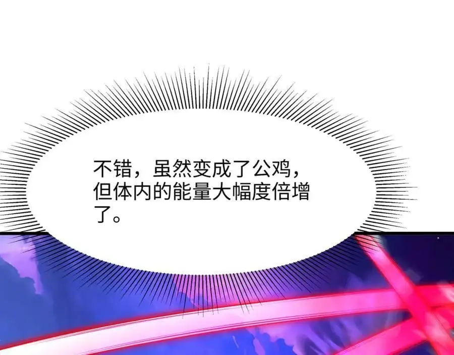 最强战斗鸡 第79页