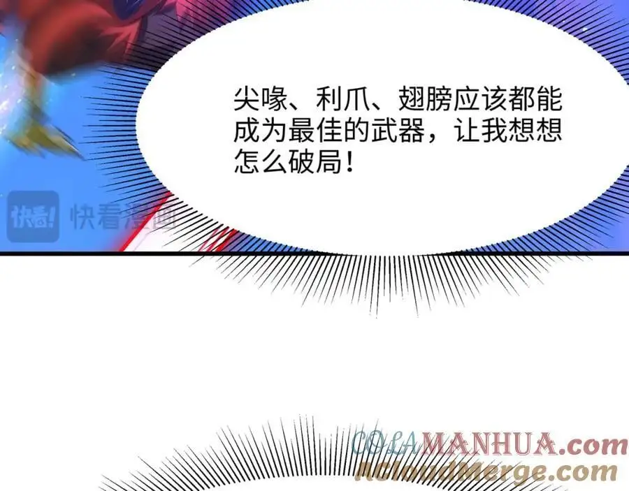 最强战斗鸡 第81页