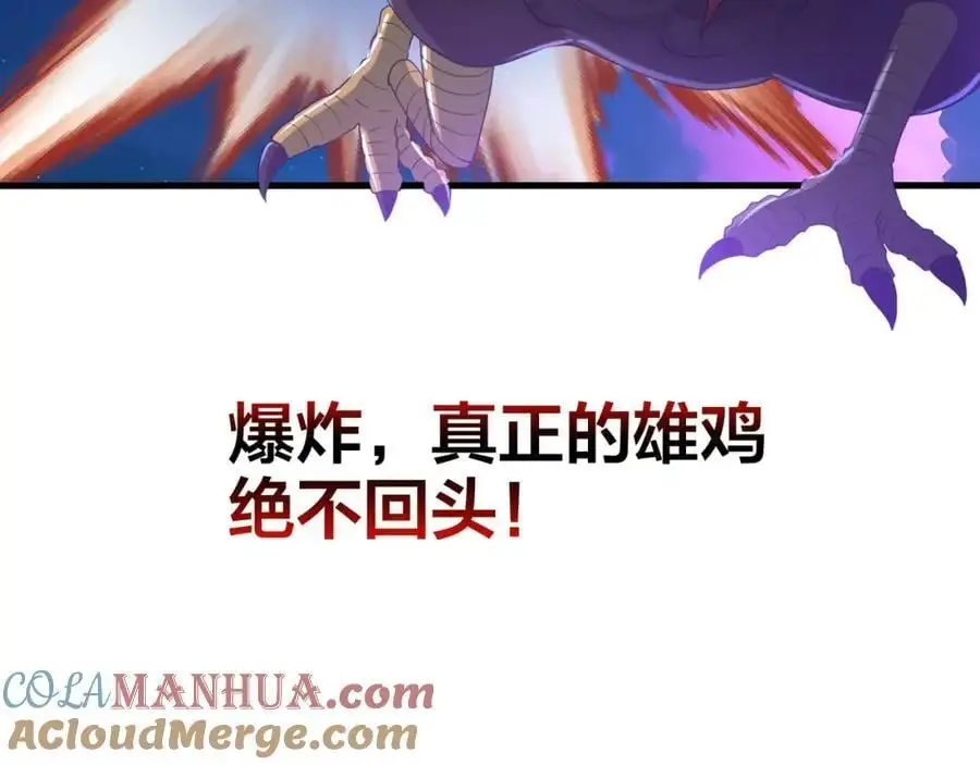 最强战斗鸡 第101页