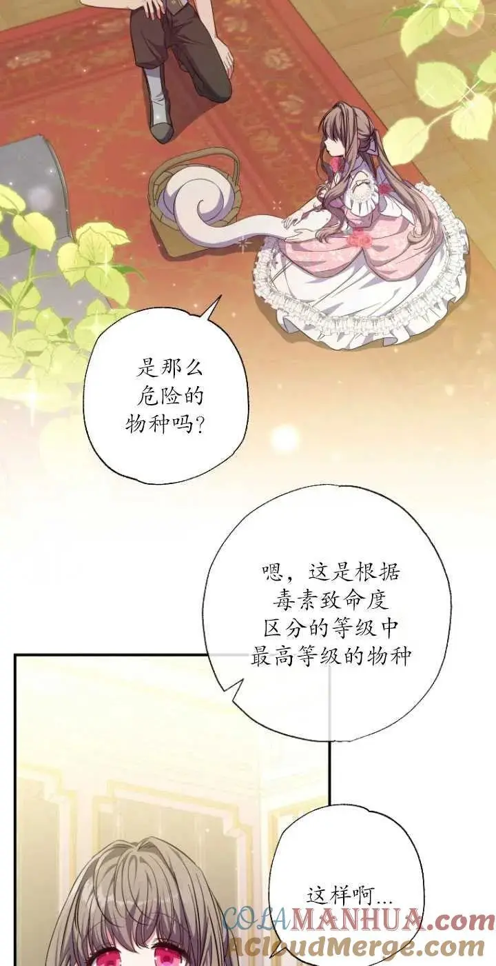 第31话 第13页