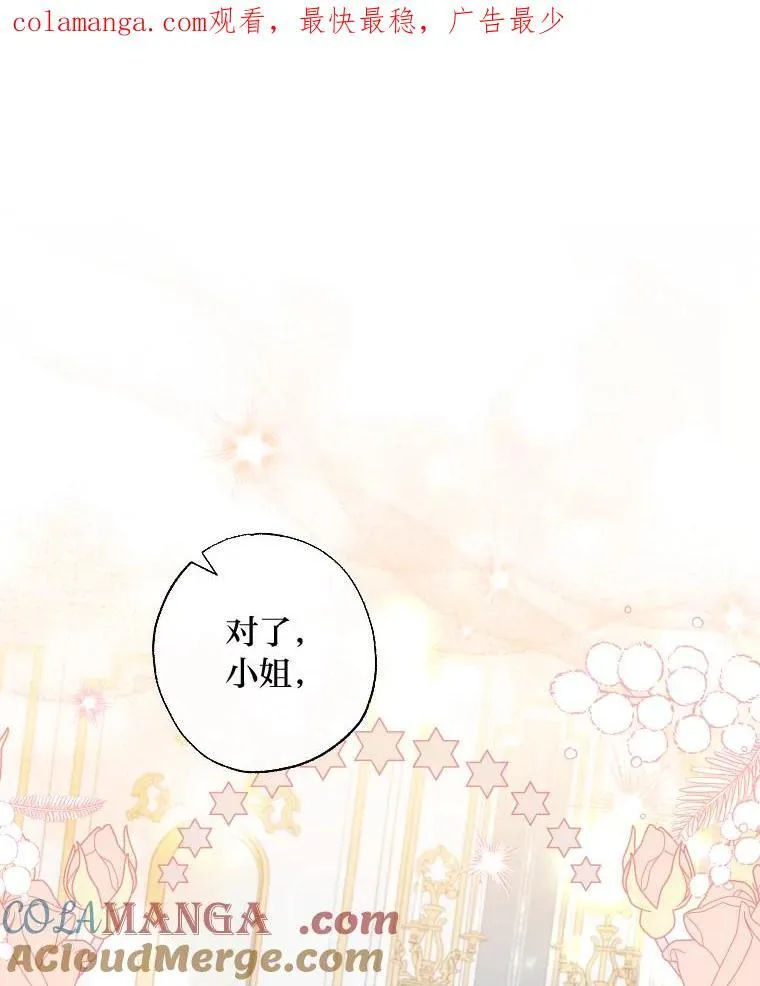 64.公女的身份 第1页