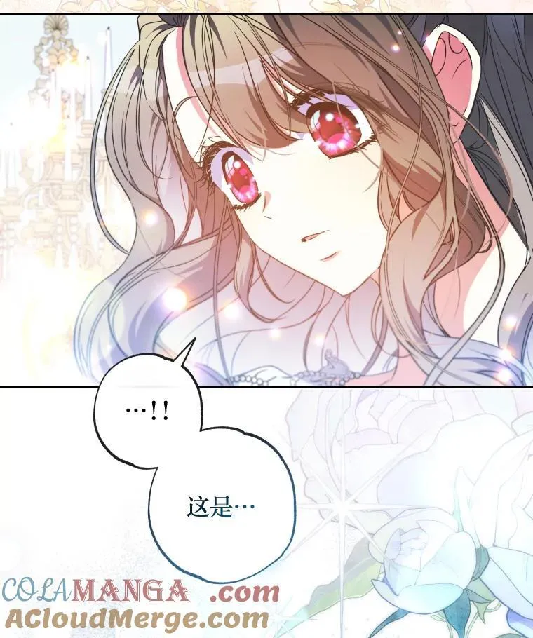 64.公女的身份 第5页