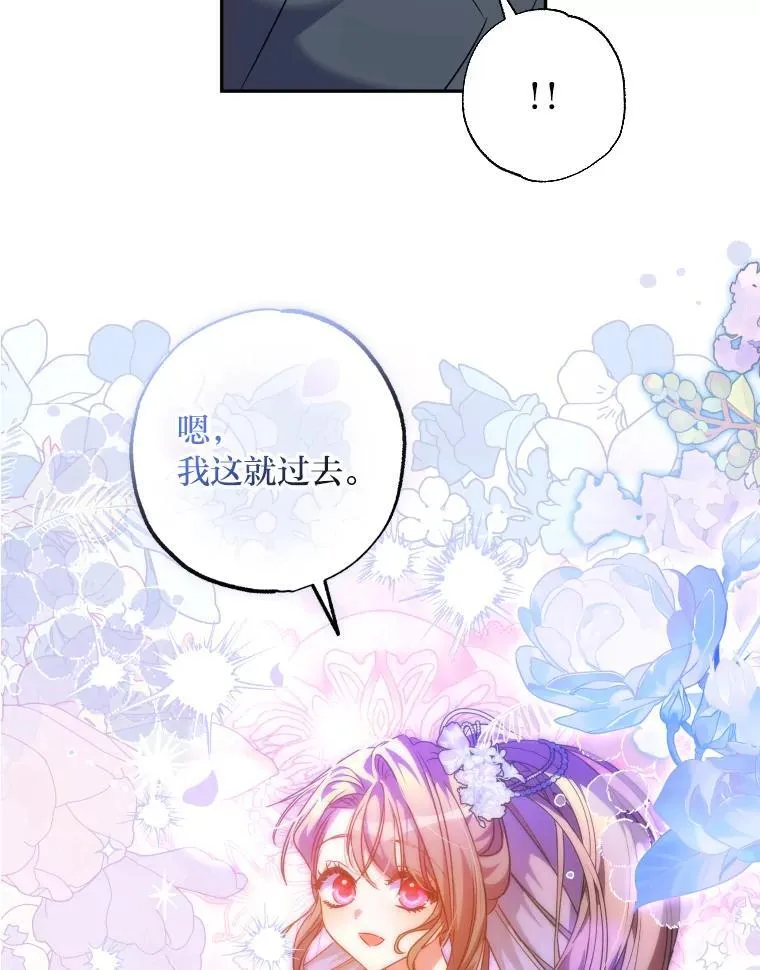64.公女的身份 第27页