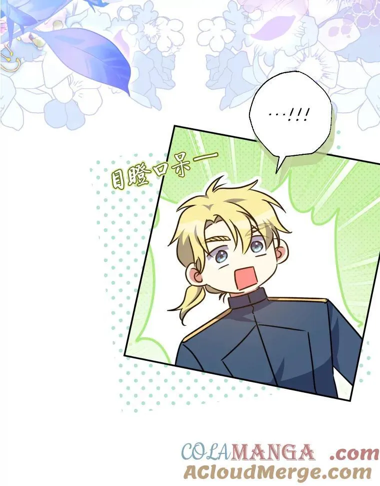 64.公女的身份 第29页