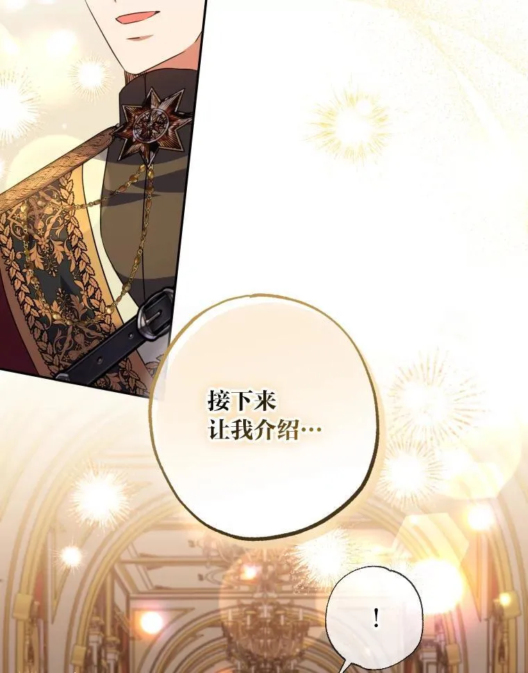 64.公女的身份 第95页
