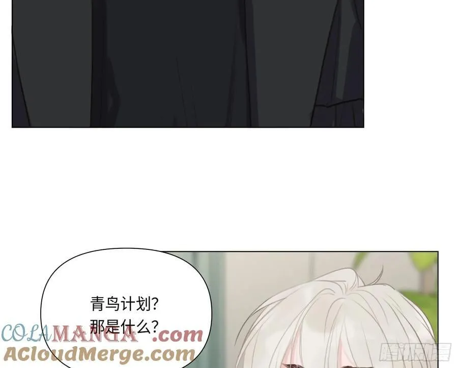 预言弥散·14 第5页