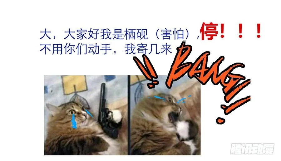公告及情报 第1页