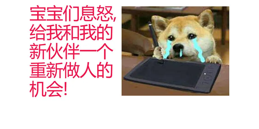 公告及情报 第5页