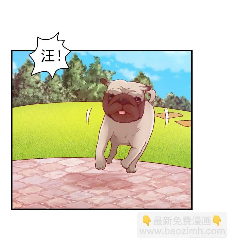 再做一个好梦 第14页
