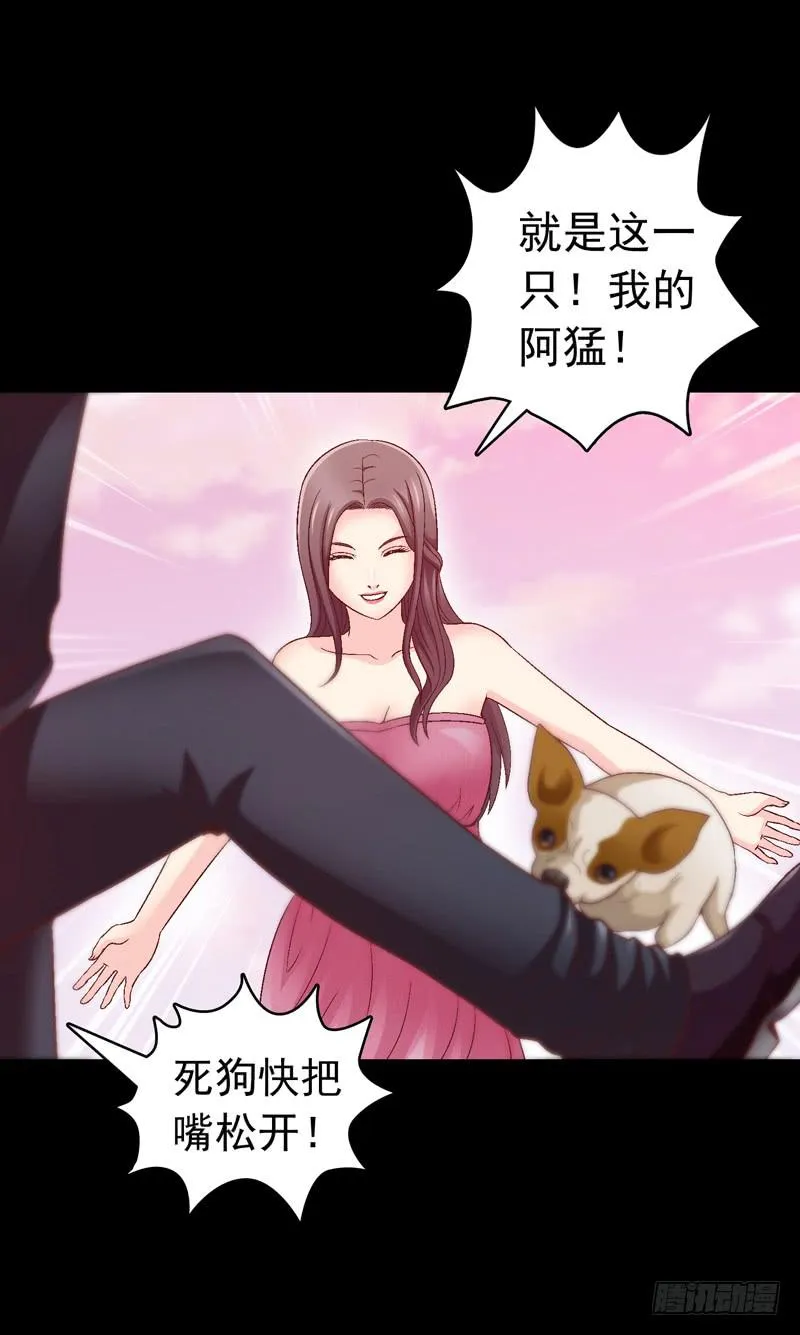 我要我的小狗狗 第19页
