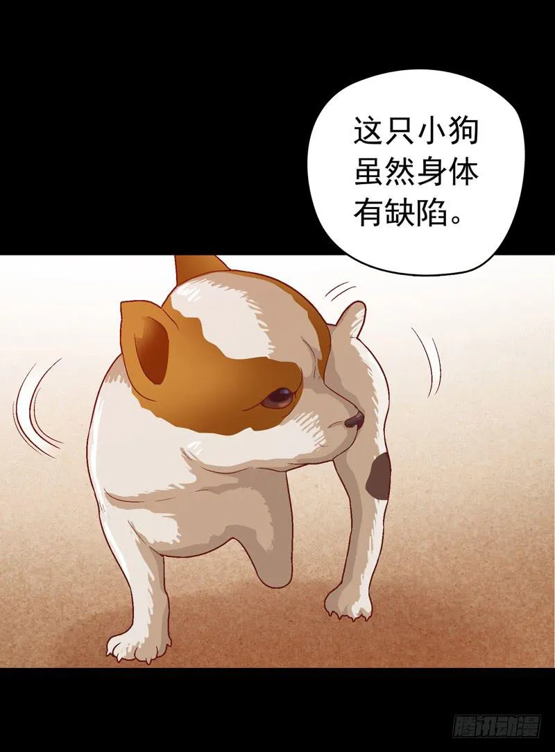 我要我的小狗狗 第23页