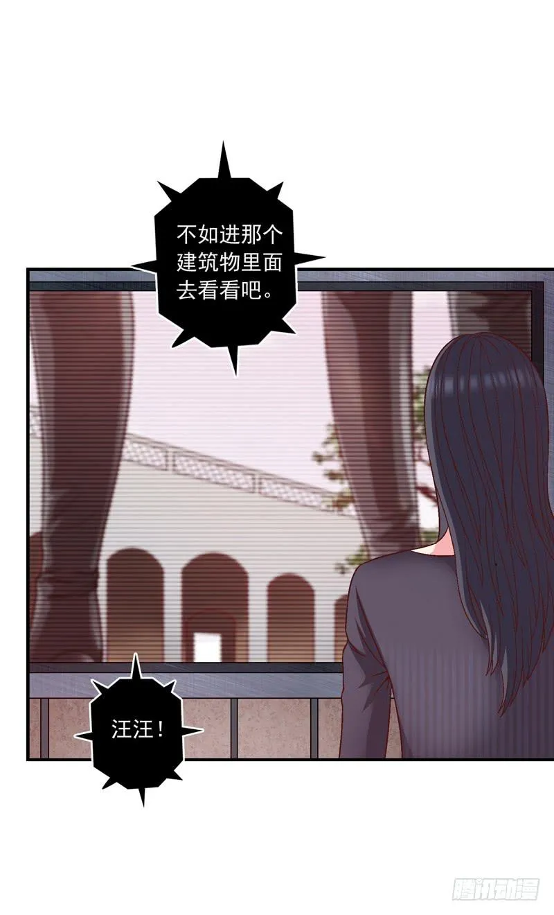 压力山大者 第4页