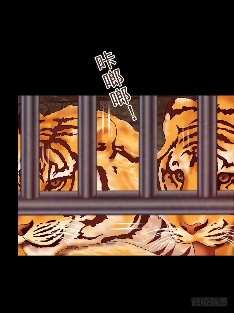 猛虎出笼 第26页