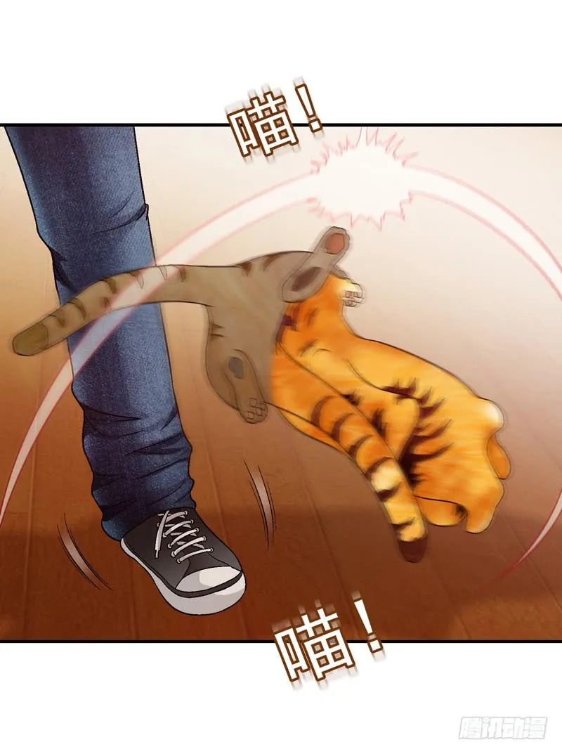 红猫爪咖啡 第21页
