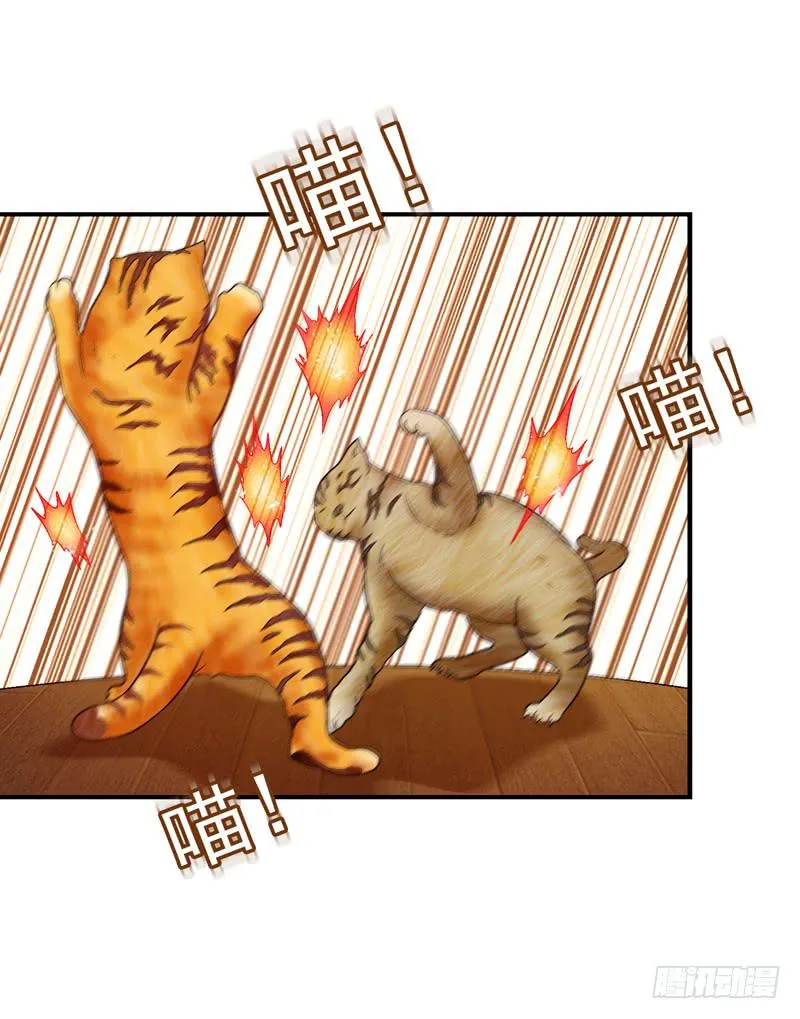 红猫爪咖啡 第22页