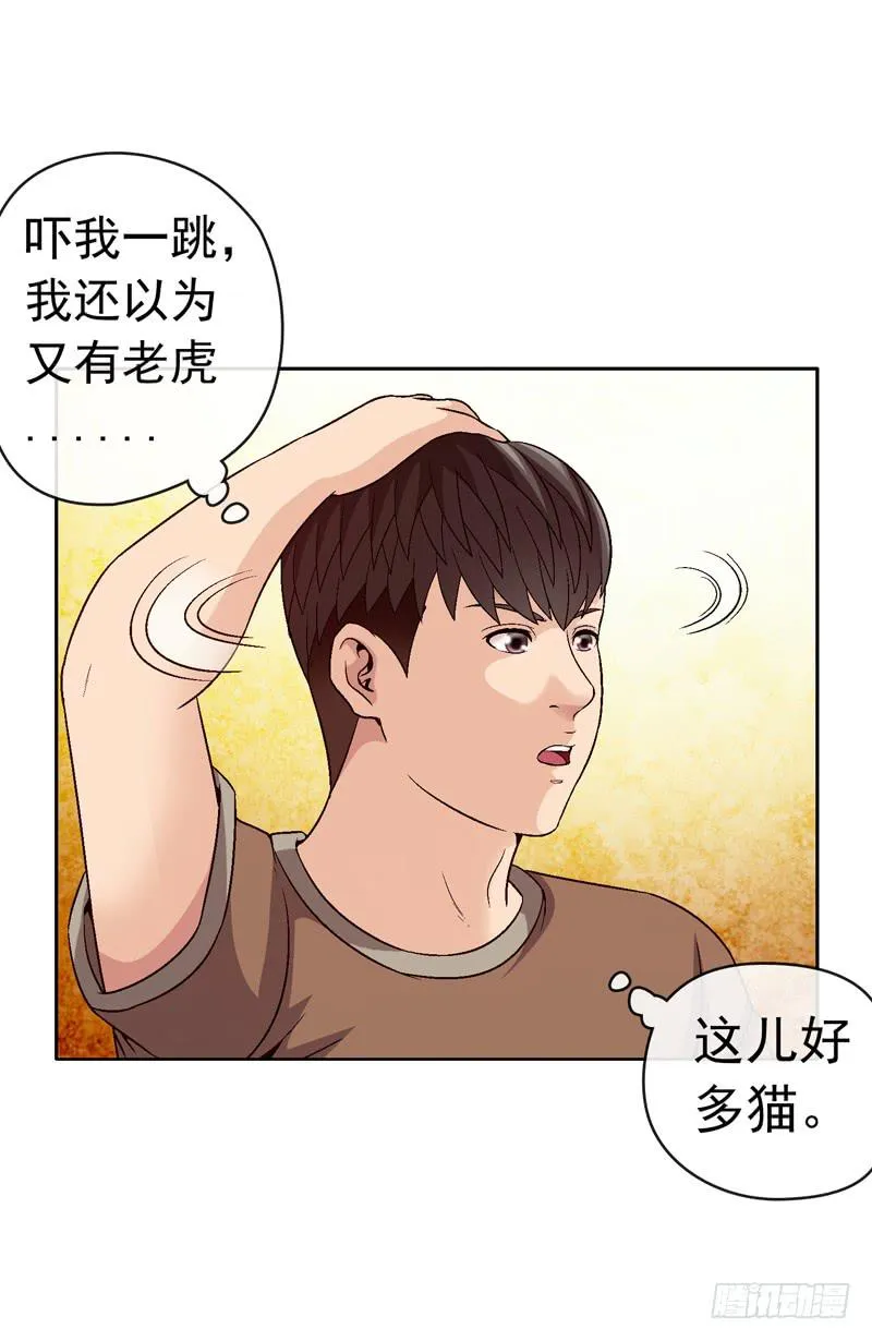 红猫爪咖啡 第25页