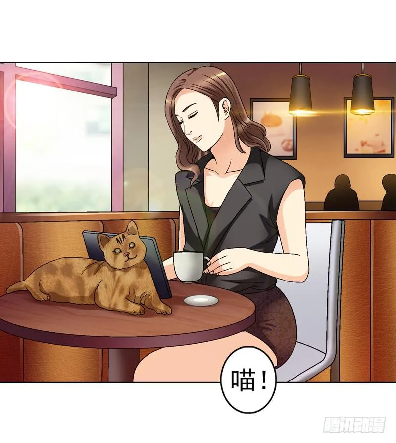 红猫爪咖啡 第26页