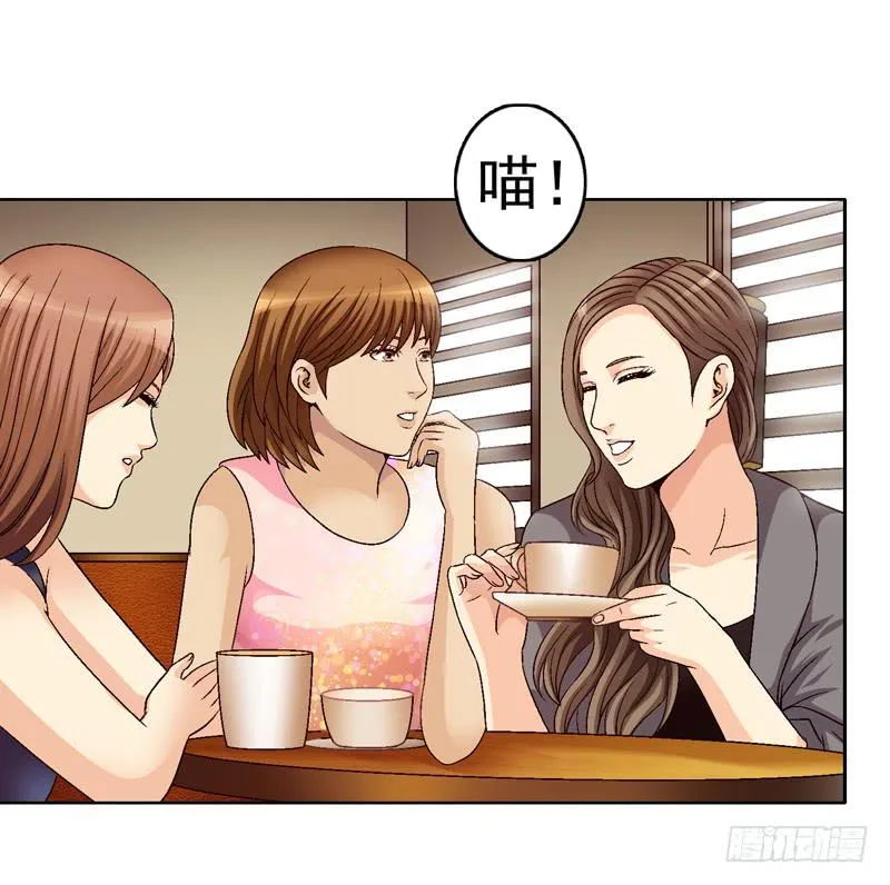 红猫爪咖啡 第27页