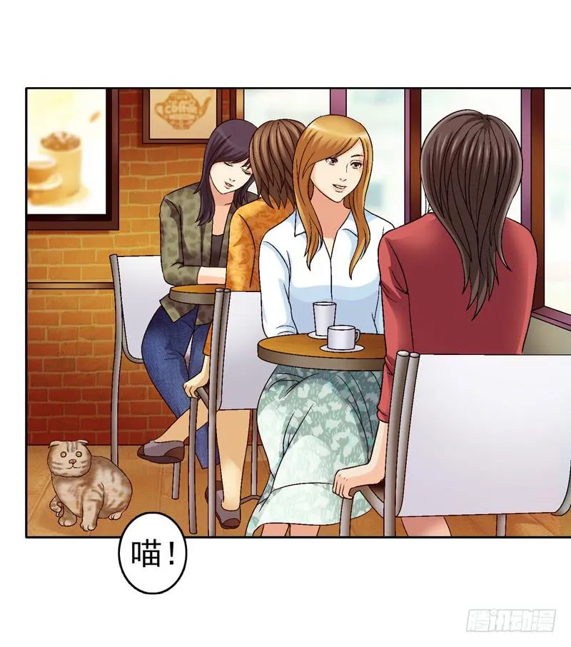 红猫爪咖啡 第28页