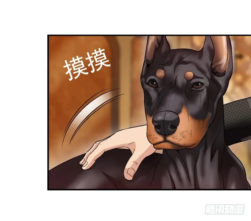 解救危机 第42页
