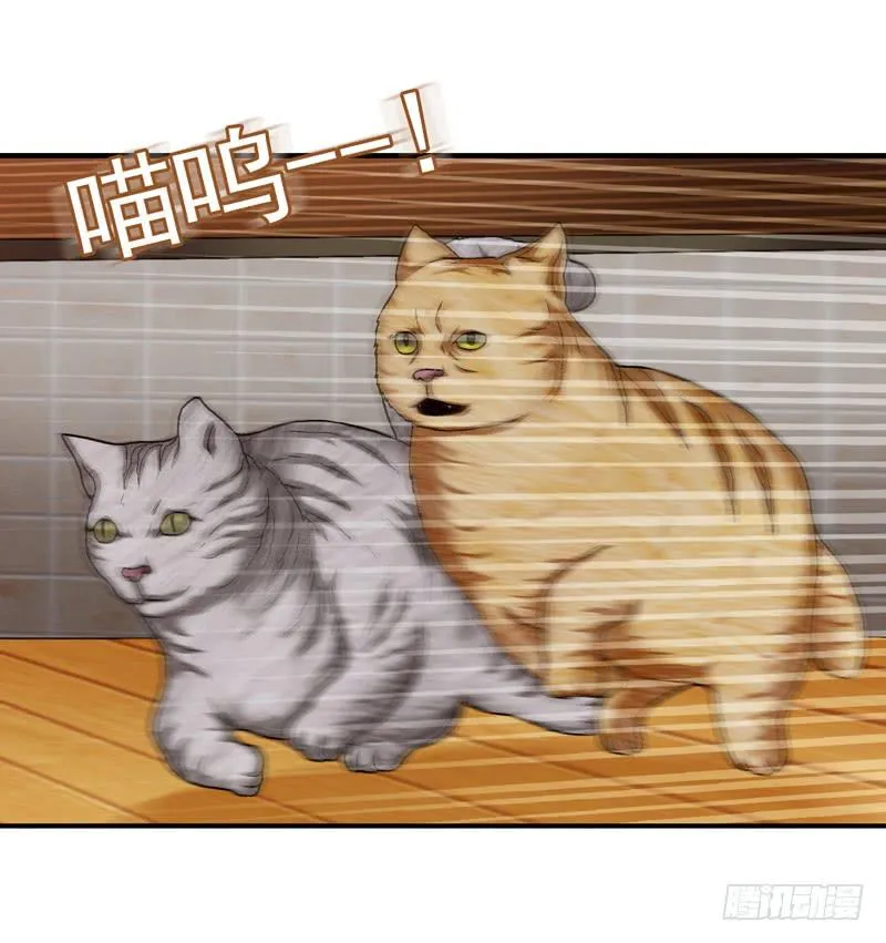 谁也别想走 第25页