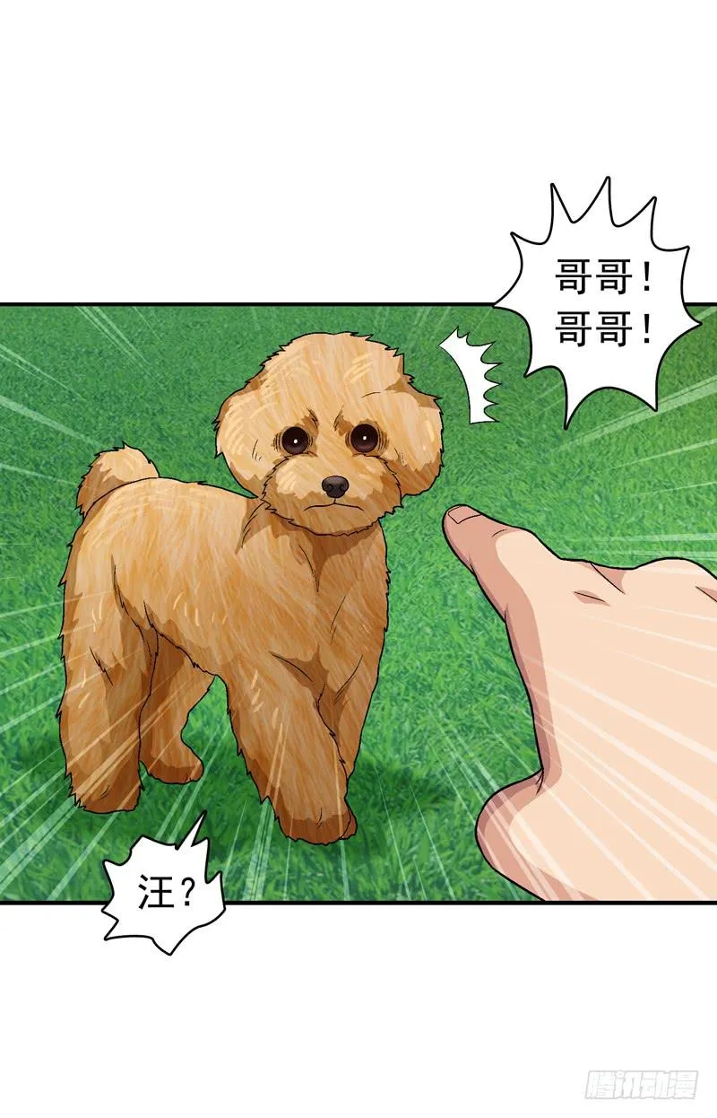 梦之花盛开（完结） 第64页