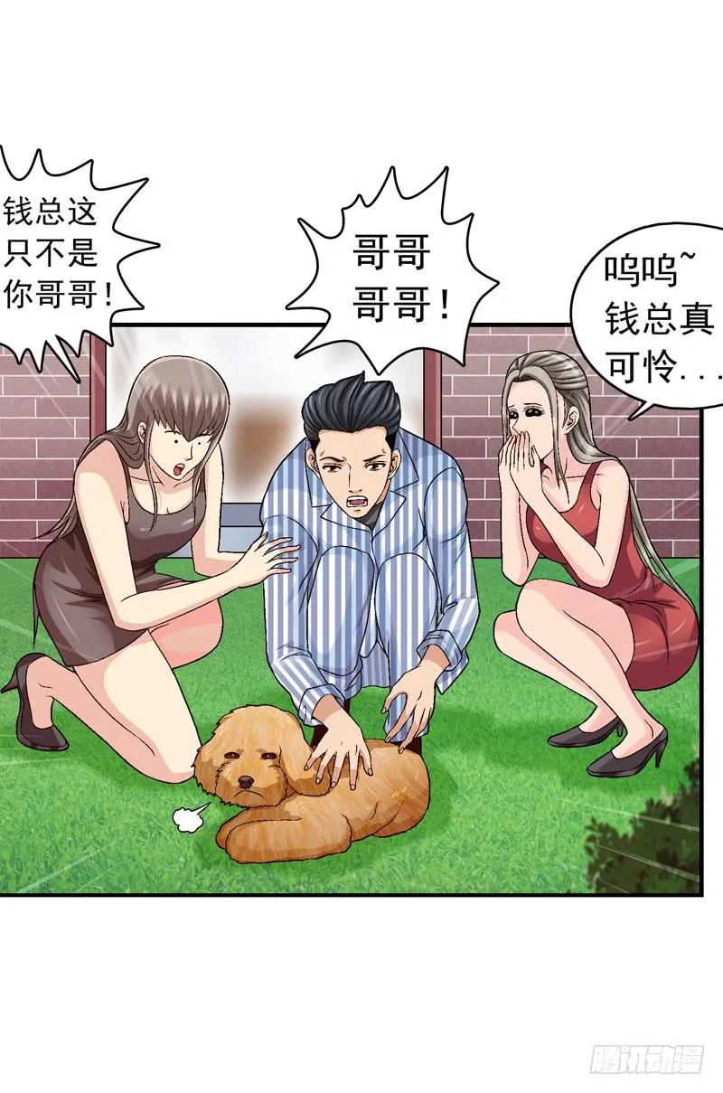 梦之花盛开（完结） 第65页