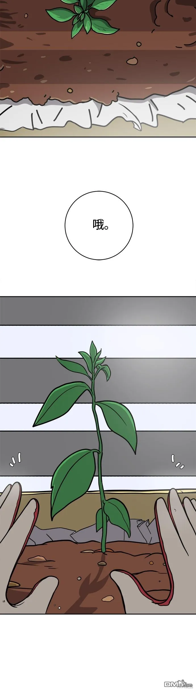 第47话 第2页
