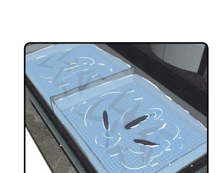 19、在一月的菜市场 第47页