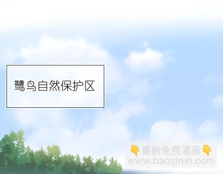 07、在树荫之下 第24页
