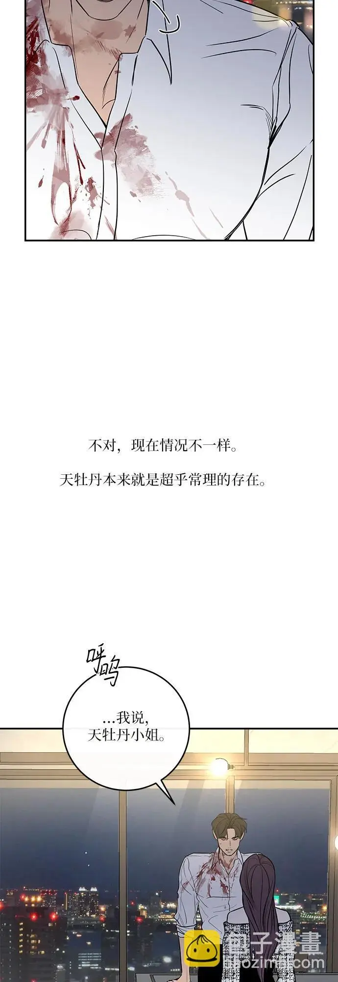 第28话 第31页