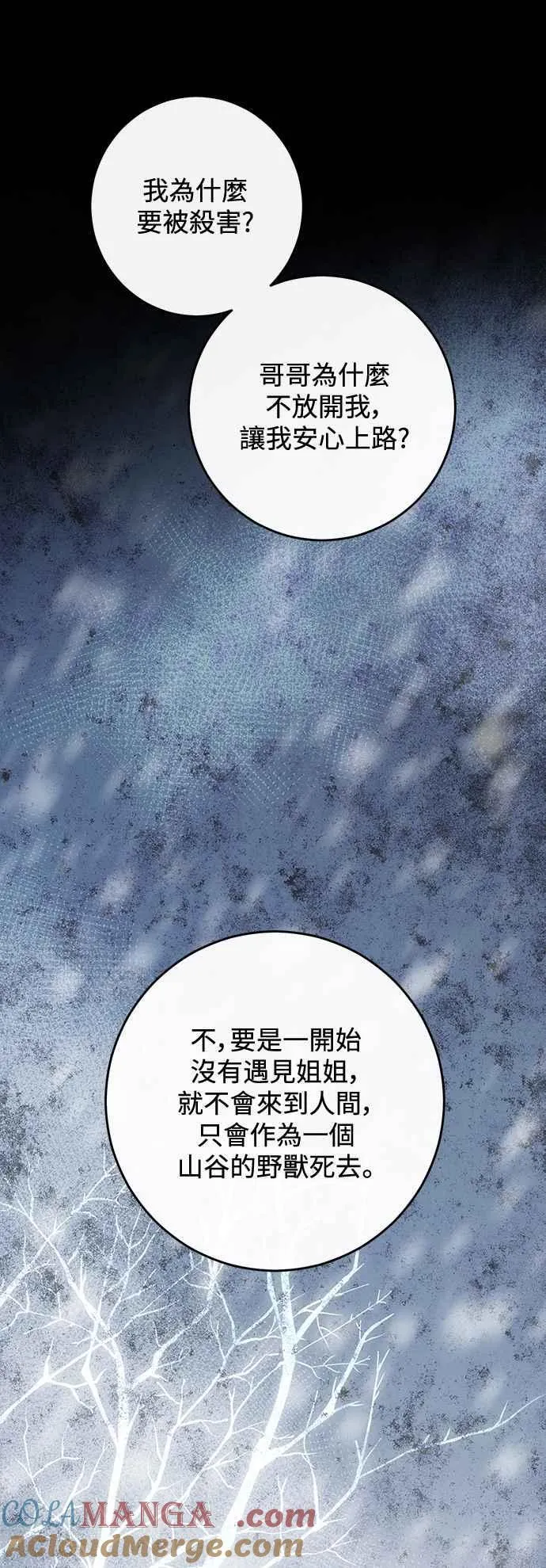 第116话 第28页