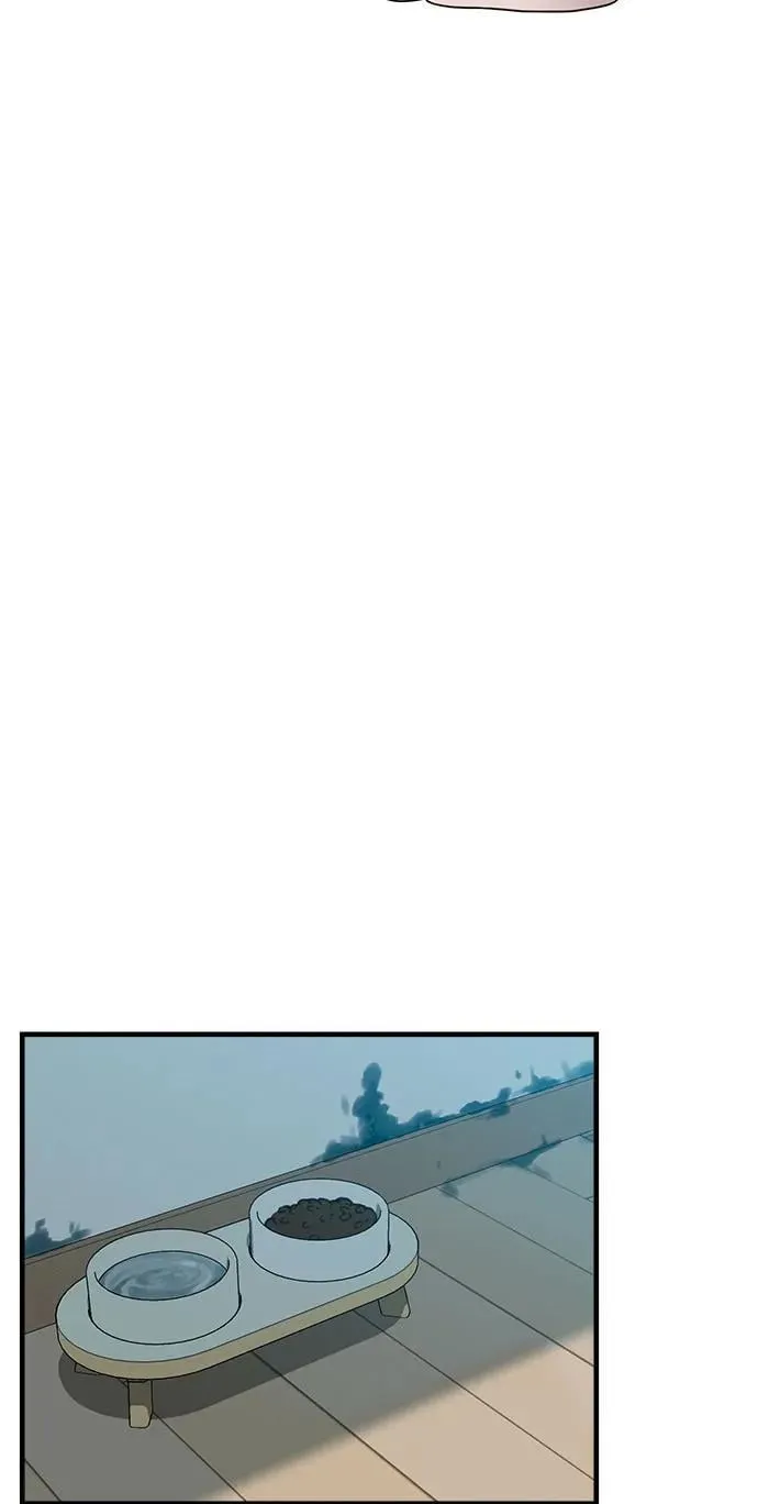 [第22话] 最狼狈的样子 第35页