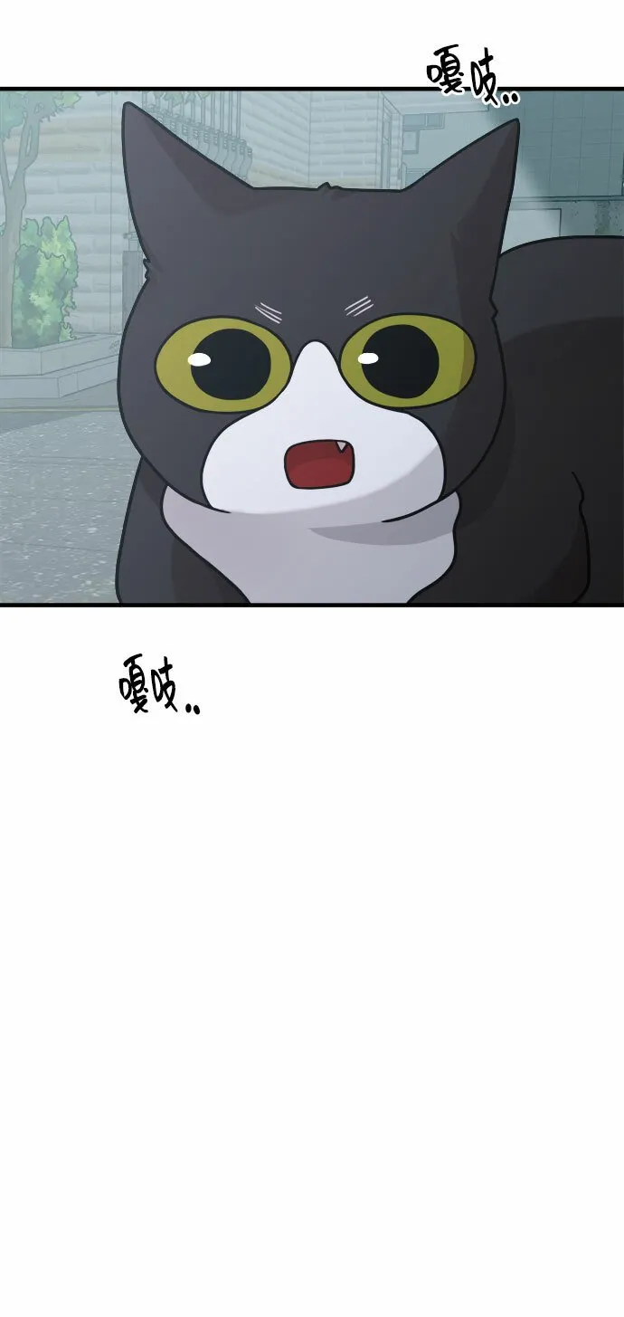 [第12话] 他说灰色更刺激 第74页