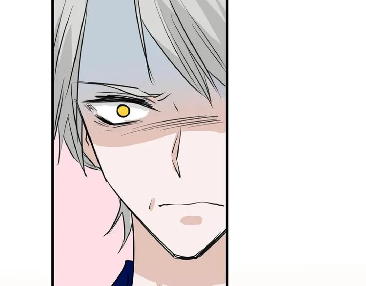 第56话 生日庆典 第147页