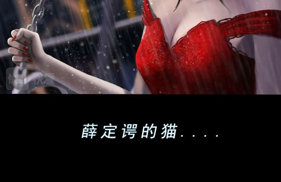 第二章 谜语人姐姐跟我谈薛定谔的猫，我没养过猫听不懂啊！ 第12页