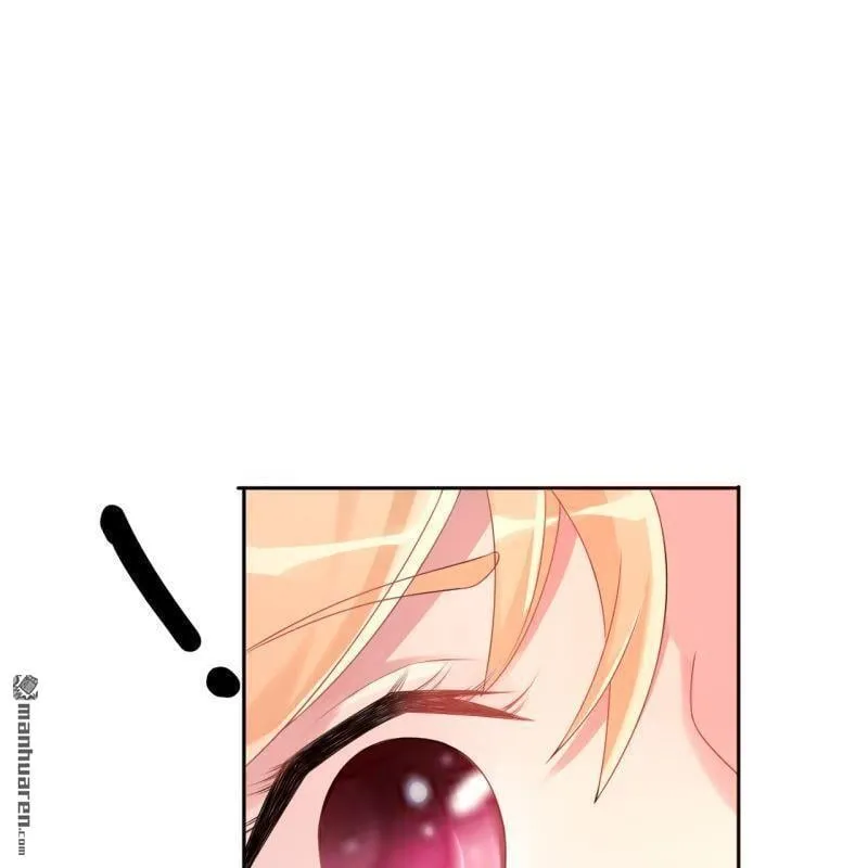 第48回 第37页
