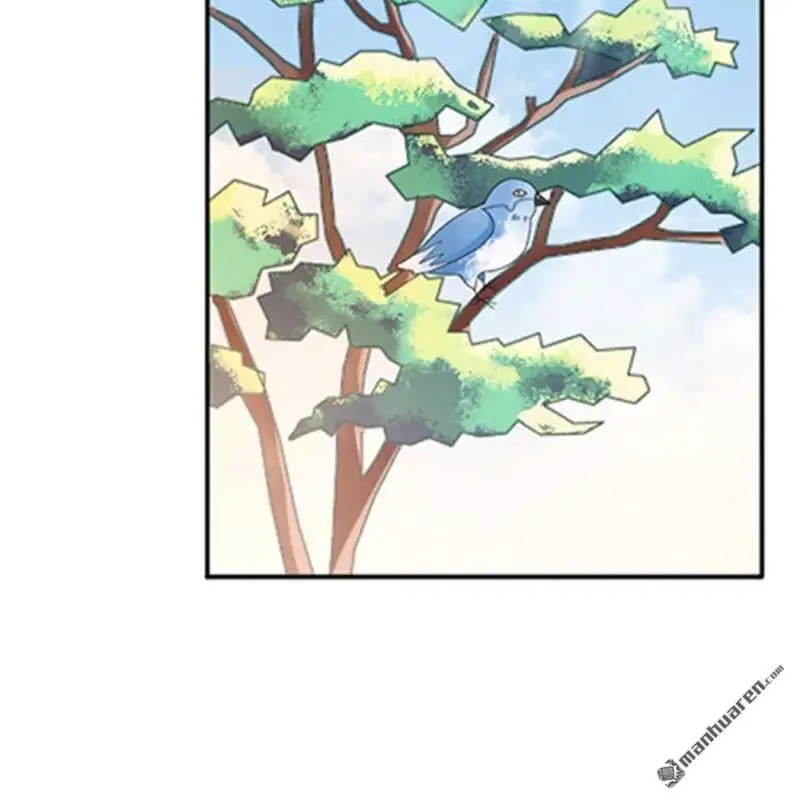 第71回 第41页