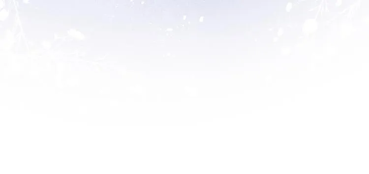 第11话 小变态九殿下 第13页