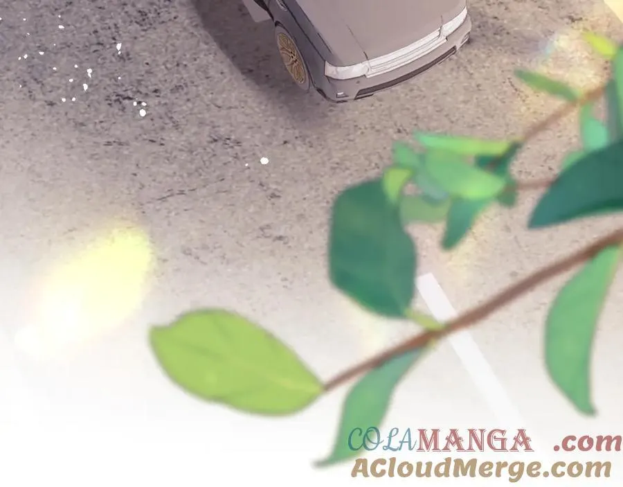 第81话 第43页