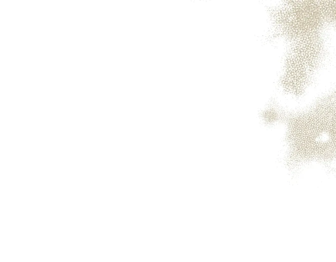第24话 第二个预言 第187页