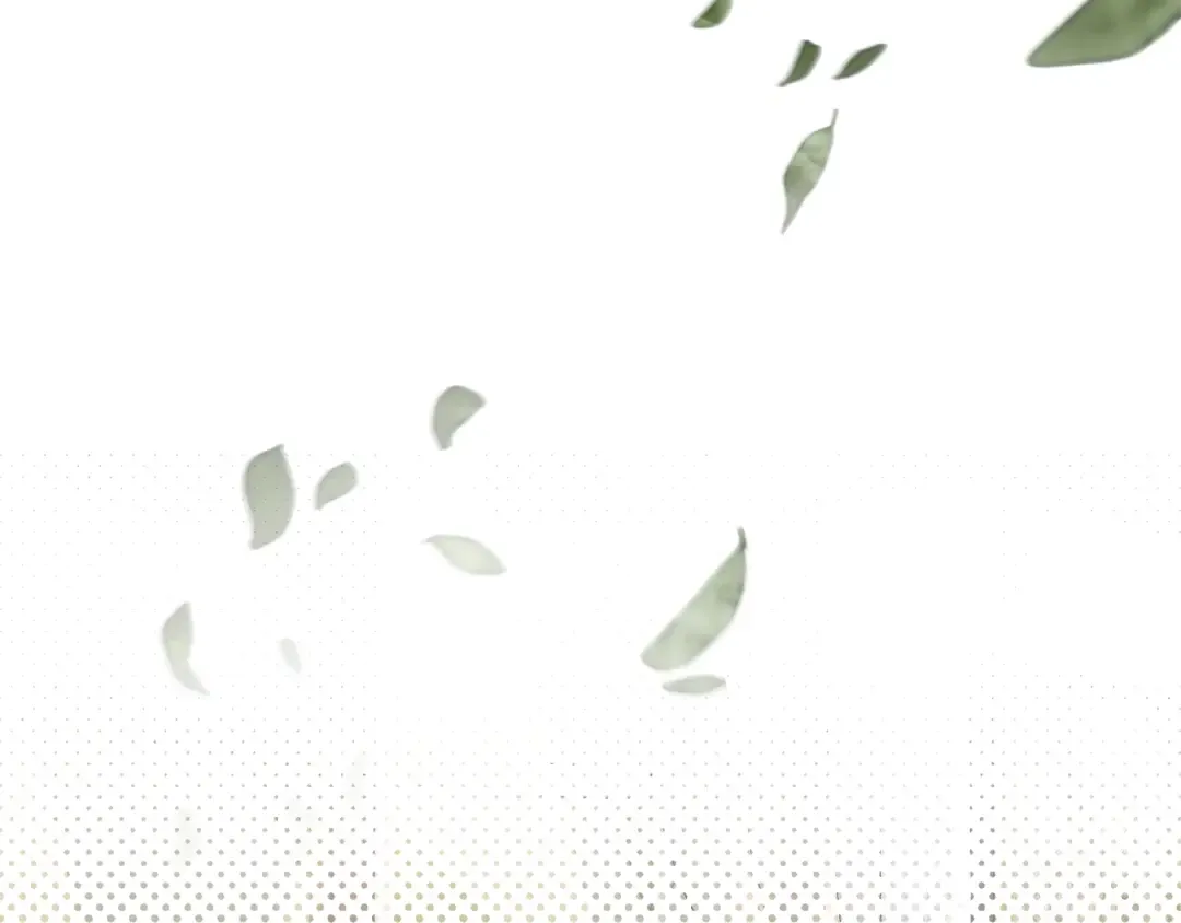 第29话 宝石 第3页