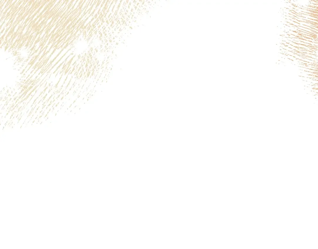 第39话 秘密调查 第163页