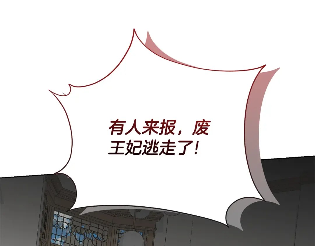 第84话 废王妃逃跑 第108页