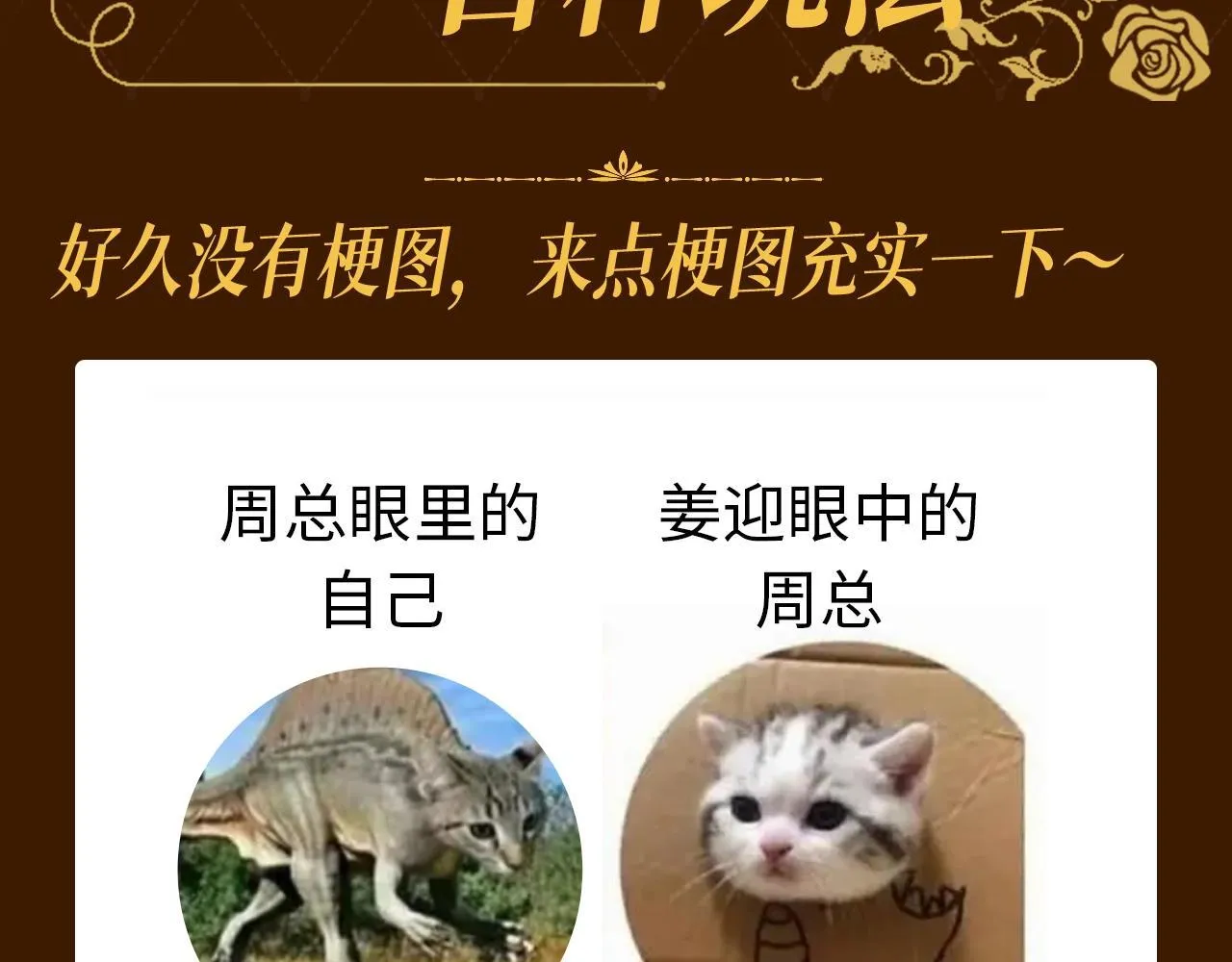 第13期 特别企划：周总梗图的一百种玩法 第3页